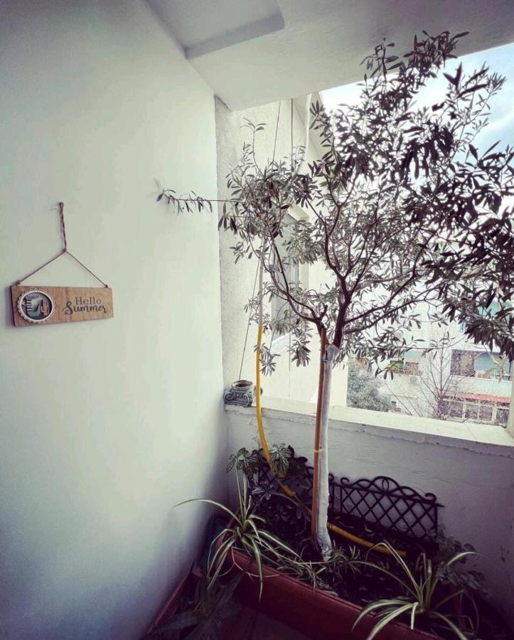 Cozy & Stylish Appartamento Tirana